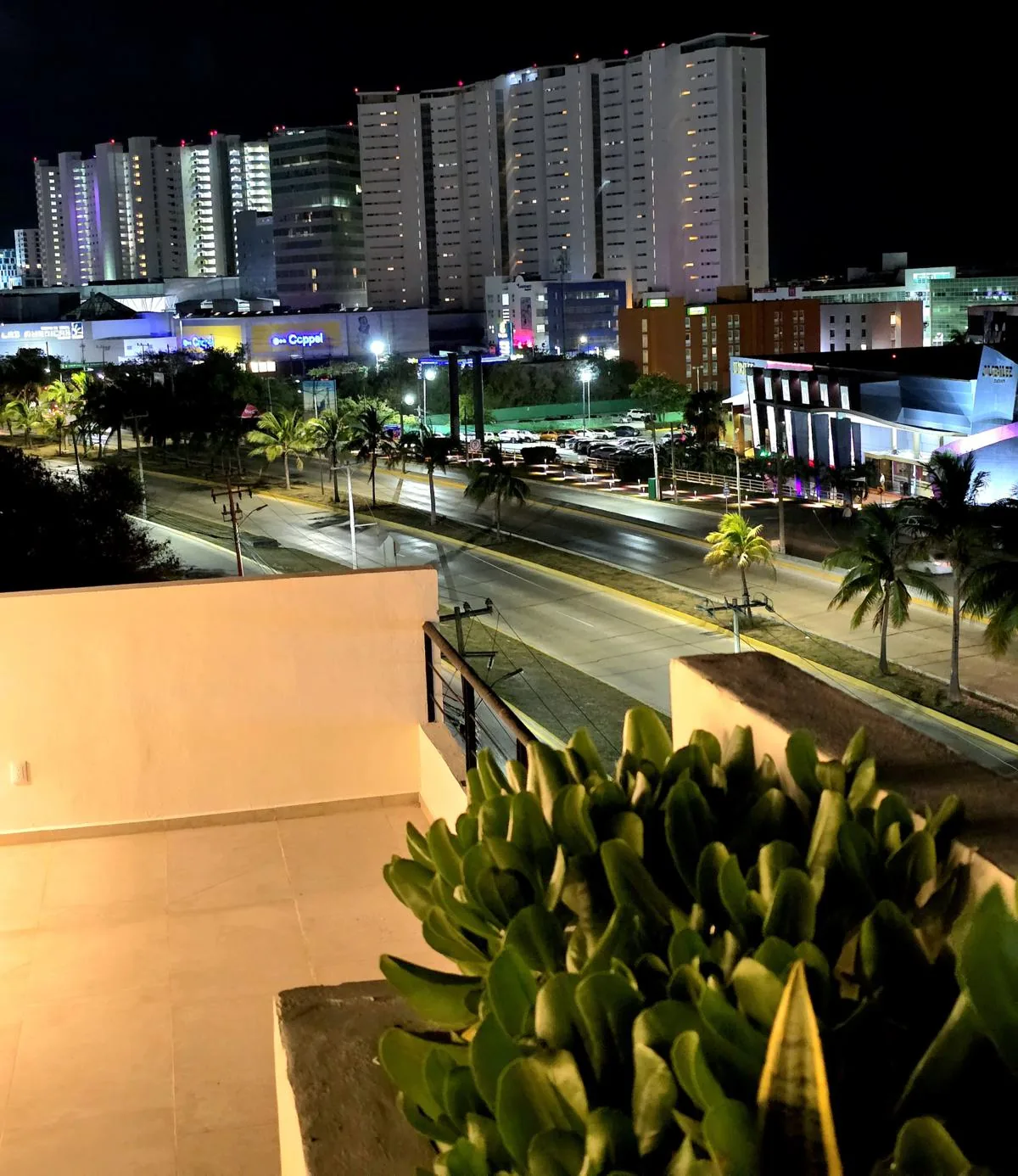 Vista nocturna